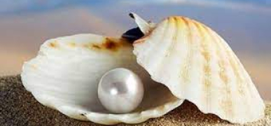 Жемчуг. Вечная классика в мире ювелирных изделий