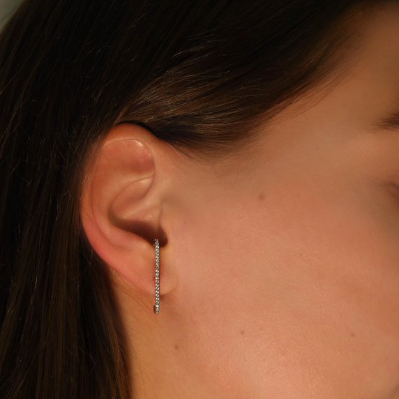 Срібні пусети - 1