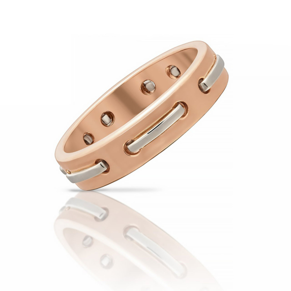 Золотое кольцо - 1