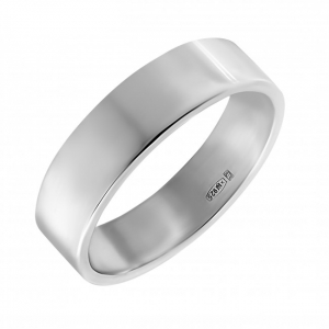 Серебряное кольцо (10711)